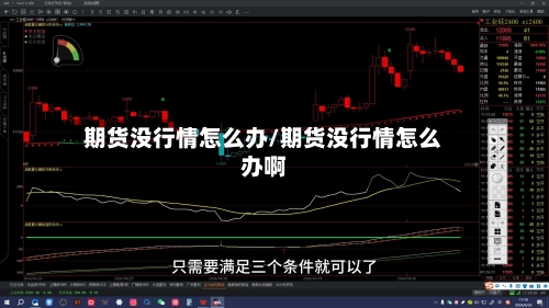 期货没行情怎么办/期货没行情怎么办啊-第3张图片