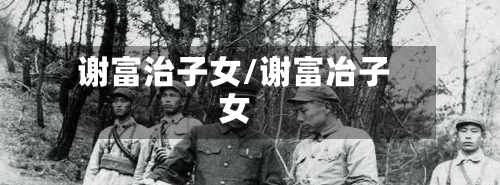 谢富治子女/谢富冶子女