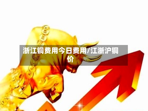 浙江铜费用今日费用/江浙沪铜价