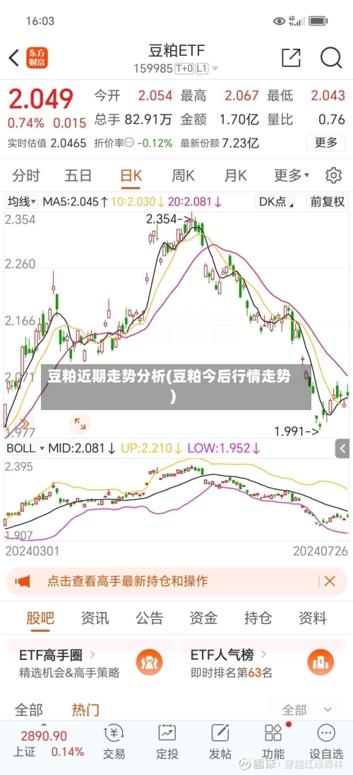 豆粕近期走势分析(豆粕今后行情走势)