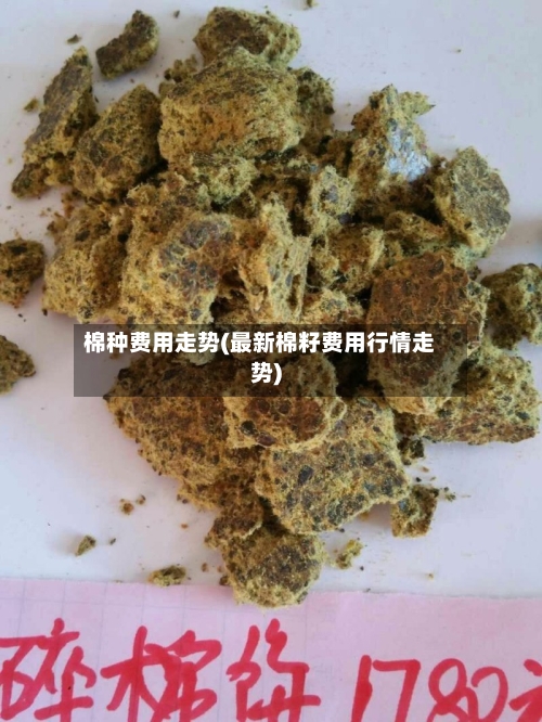 棉种费用走势(最新棉籽费用行情走势)-第3张图片