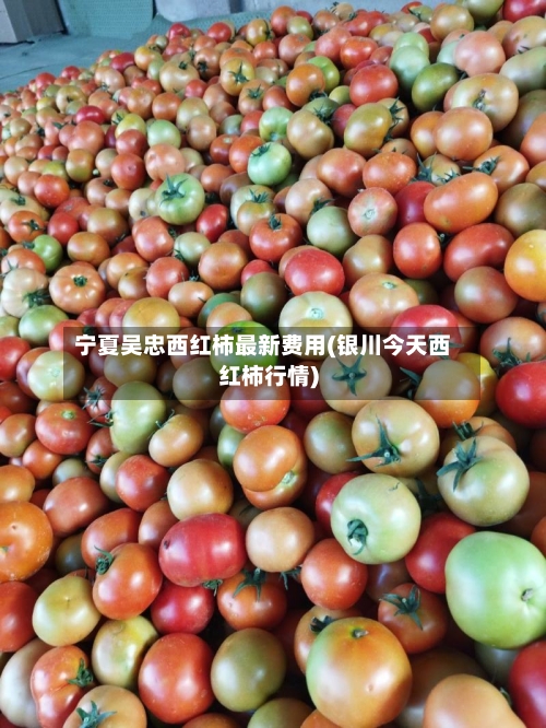 宁夏吴忠西红柿最新费用(银川今天西红柿行情)-第3张图片
