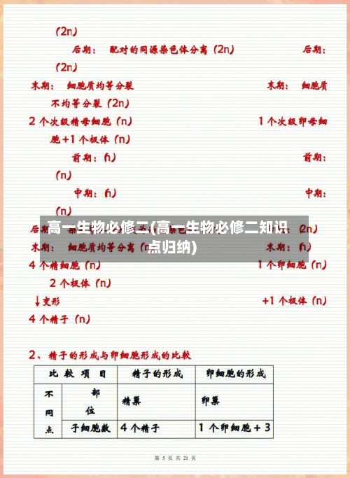 高一生物必修二(高一生物必修二知识点归纳)-第3张图片
