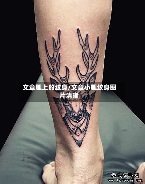 文章腿上的纹身/文章小腿纹身图片清晰-第2张图片