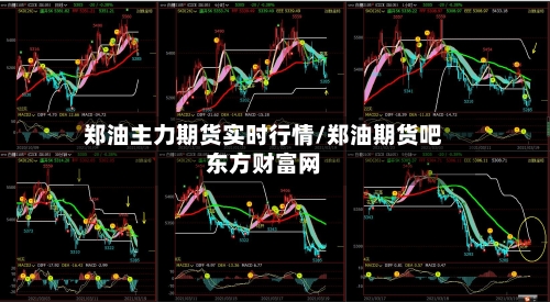 郑油主力期货实时行情/郑油期货吧东方财富网