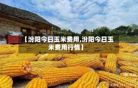 【汾阳今日玉米费用,汾阳今日玉米费用行情】-第3张图片