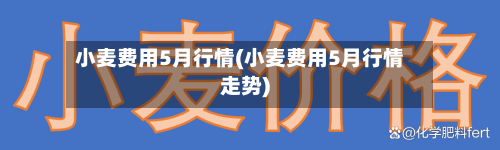 小麦费用5月行情(小麦费用5月行情走势)-第3张图片