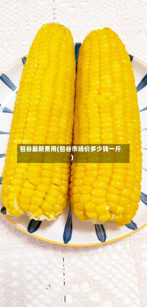 包谷最新费用(包谷市场价多少钱一斤)