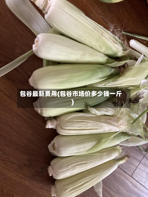 包谷最新费用(包谷市场价多少钱一斤)-第2张图片