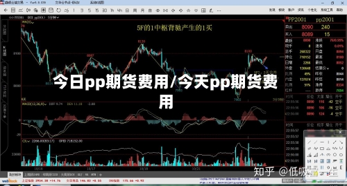 今日pp期货费用/今天pp期货费用