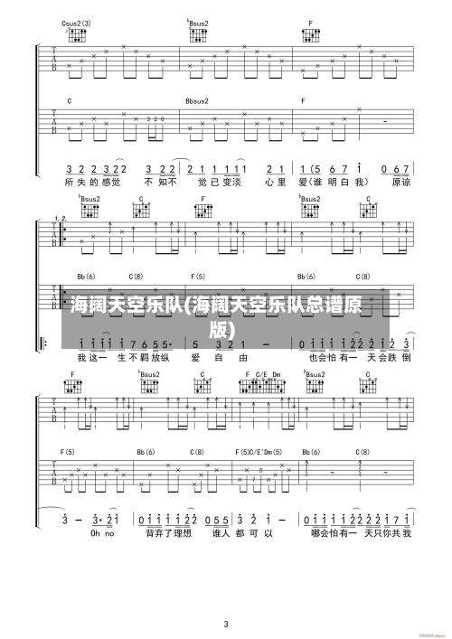 海阔天空乐队(海阔天空乐队总谱原版)