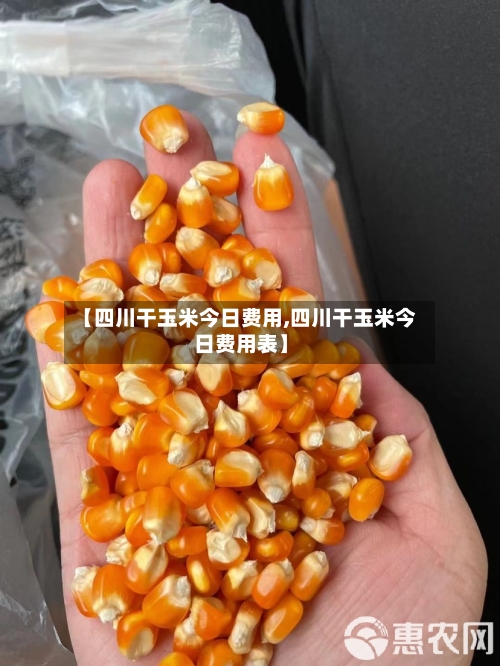 【四川干玉米今日费用,四川干玉米今日费用表】-第2张图片