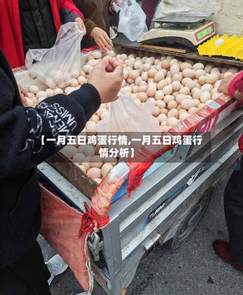 【一月五日鸡蛋行情,一月五日鸡蛋行情分析】-第2张图片