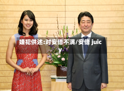 嫌犯供述:对安倍不满/安倍 juicy