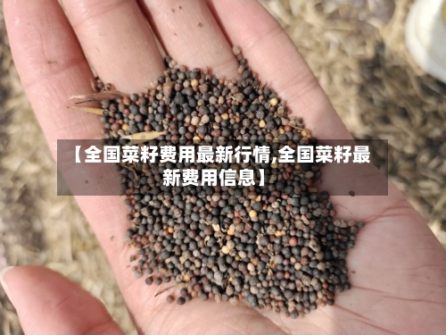 【全国菜籽费用最新行情,全国菜籽最新费用信息】-第3张图片