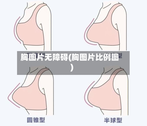 胸图片无障碍(胸图片比例图)