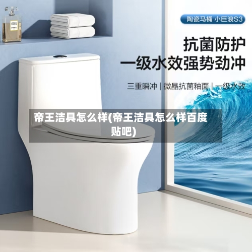 帝王洁具怎么样(帝王洁具怎么样百度贴吧)