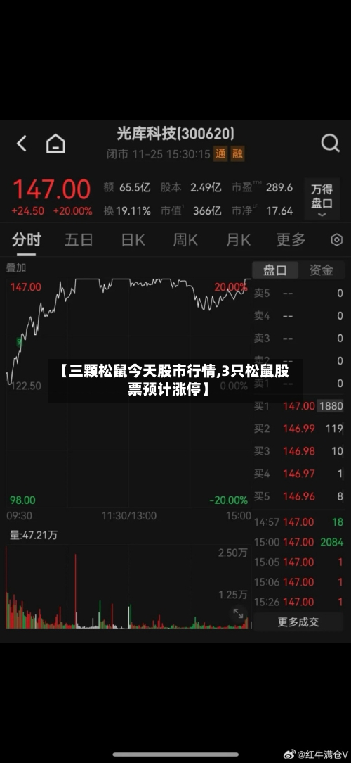 【三颗松鼠今天股市行情,3只松鼠股票预计涨停】