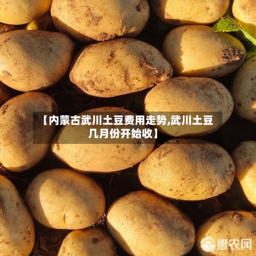 【内蒙古武川土豆费用走势,武川土豆几月份开始收】-第3张图片