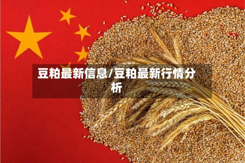 豆粕最新信息/豆粕最新行情分析