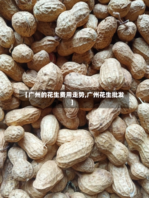 【广州的花生费用走势,广州花生批发】