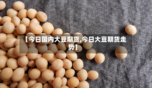 【今日国内大豆期货,今日大豆期货走势】