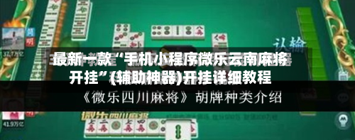 最新一款“手机小程序微乐云南麻将开挂”(辅助神器)开挂详细教程-第3张图片