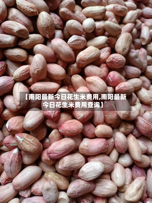 【南阳最新今日花生米费用,南阳最新今日花生米费用查询】-第3张图片