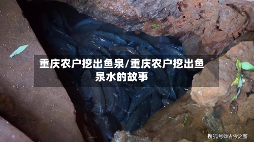 重庆农户挖出鱼泉/重庆农户挖出鱼泉水的故事