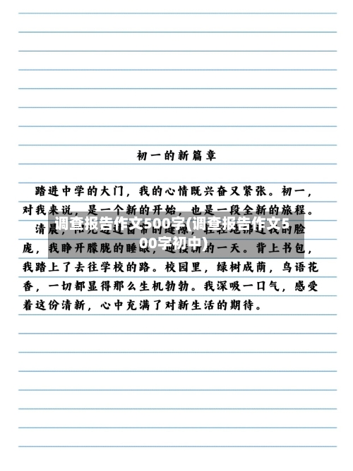 调查报告作文500字(调查报告作文500字初中)-第2张图片