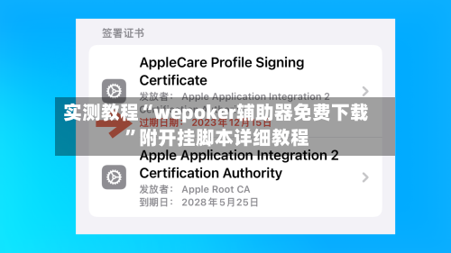 实测教程“wepoker辅助器免费下载”附开挂脚本详细教程-第2张图片