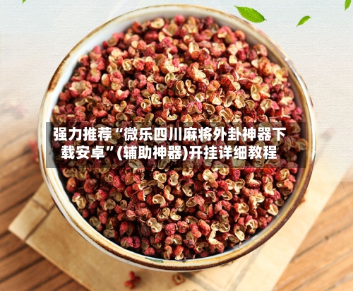 强力推荐“微乐四川麻将外卦神器下载安卓”(辅助神器)开挂详细教程-第3张图片