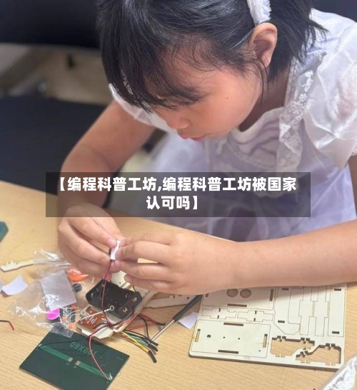 【编程科普工坊,编程科普工坊被国家认可吗】-第2张图片