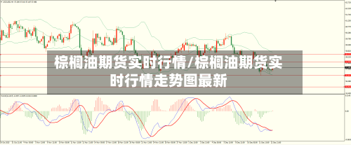 棕榈油期货实时行情/棕榈油期货实时行情走势图最新-第3张图片