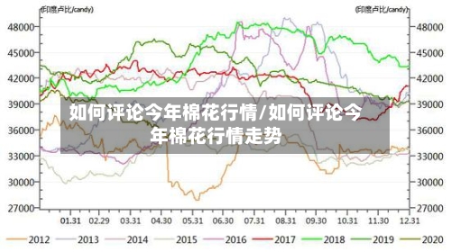 如何评论今年棉花行情/如何评论今年棉花行情走势-第3张图片