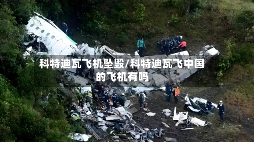 科特迪瓦飞机坠毁/科特迪瓦飞中国的飞机有吗-第3张图片