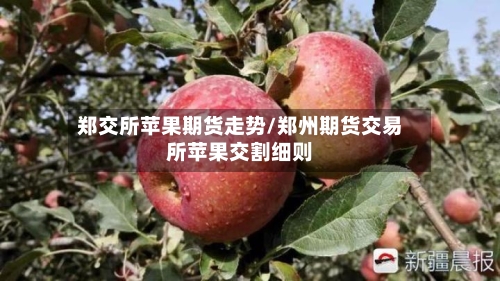 郑交所苹果期货走势/郑州期货交易所苹果交割细则