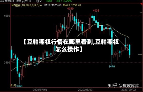 【豆粕期权行情在哪里看到,豆粕期权怎么操作】