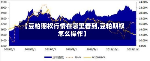 【豆粕期权行情在哪里看到,豆粕期权怎么操作】-第3张图片