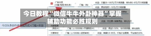 今日教程“微信牛牛外卦神器”掌握辅助功能必胜规则-第3张图片