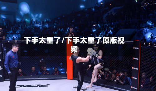下手太重了/下手太重了原版视频-第3张图片