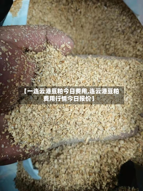 【一连云港豆粕今日费用,连云港豆粕费用行情今日报价】-第2张图片