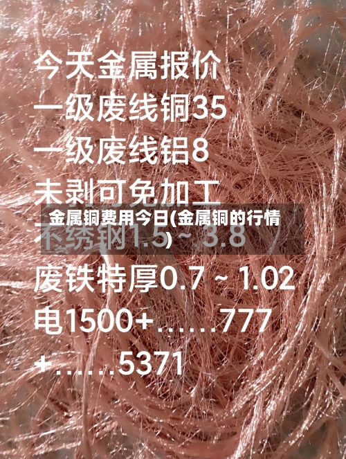 金属铜费用今日(金属铜的行情)