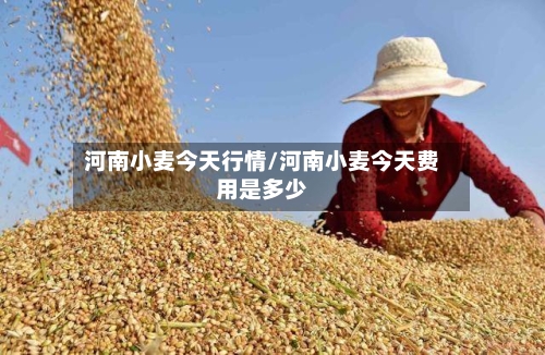 河南小麦今天行情/河南小麦今天费用是多少-第2张图片