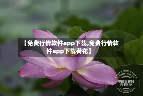 【免费行情软件app下载,免费行情软件app下载荷花】