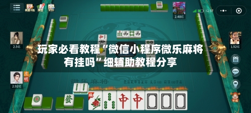 玩家必看教程“微信小程序微乐麻将有挂吗”细辅助教程分享-第3张图片