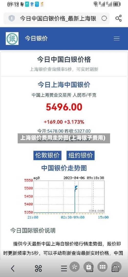 上海银价费用走势图(上海银子费用)-第2张图片