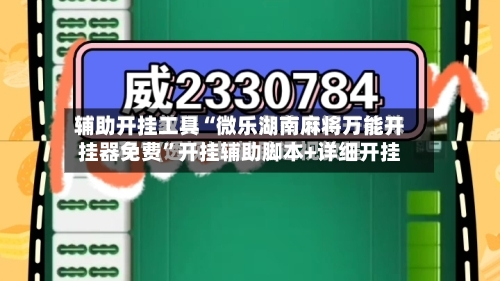 辅助开挂工具“微乐湖南麻将万能开挂器免费	”开挂辅助脚本+详细开挂-第2张图片