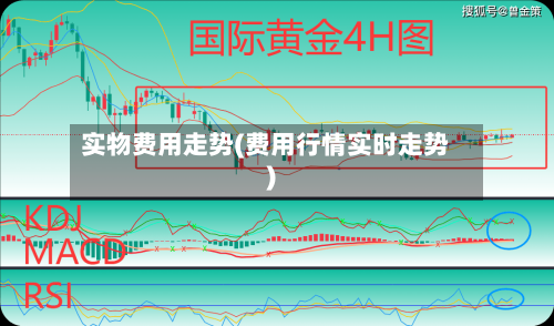 实物费用走势(费用行情实时走势)