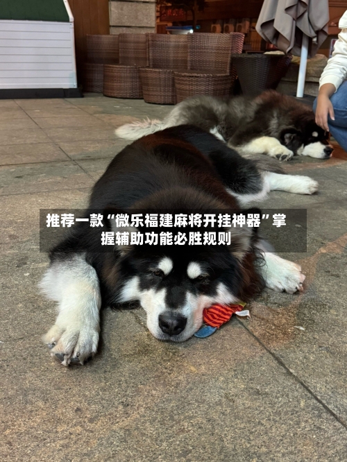 推荐一款“微乐福建麻将开挂神器”掌握辅助功能必胜规则-第2张图片